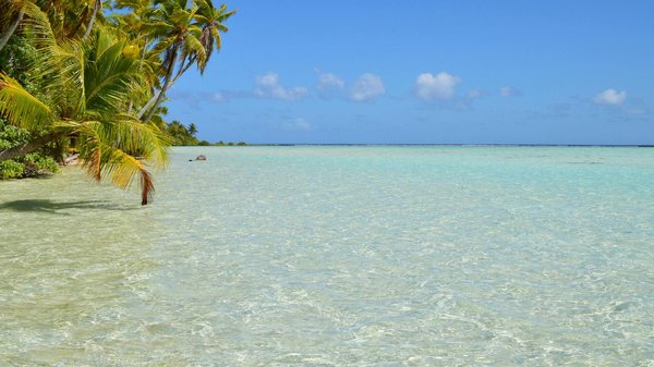Comment planifier une visite des ruines mayas de Tulum, Mexique?