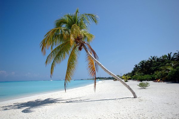 Comment organiser une croisière sur la rivière Flåm en Norvège : itinéraires, équipements et saisons idéales ?