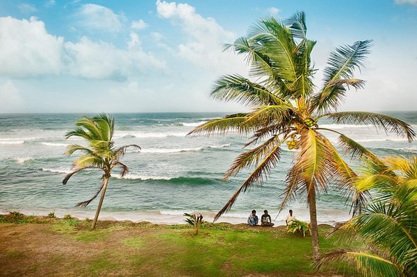 Vacances au sri lanka : les incontournables pour votre séjour