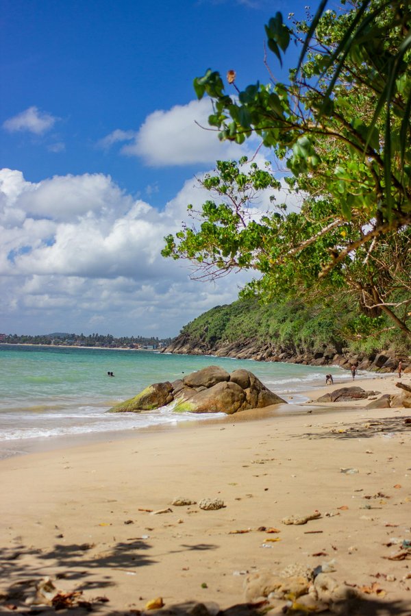 Séjour au sri lanka : 10 expériences à ne pas manquer